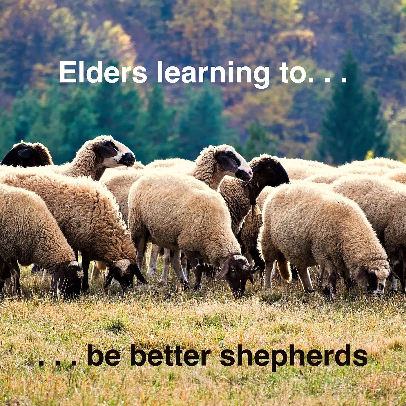 Elders learning to be better shepherds