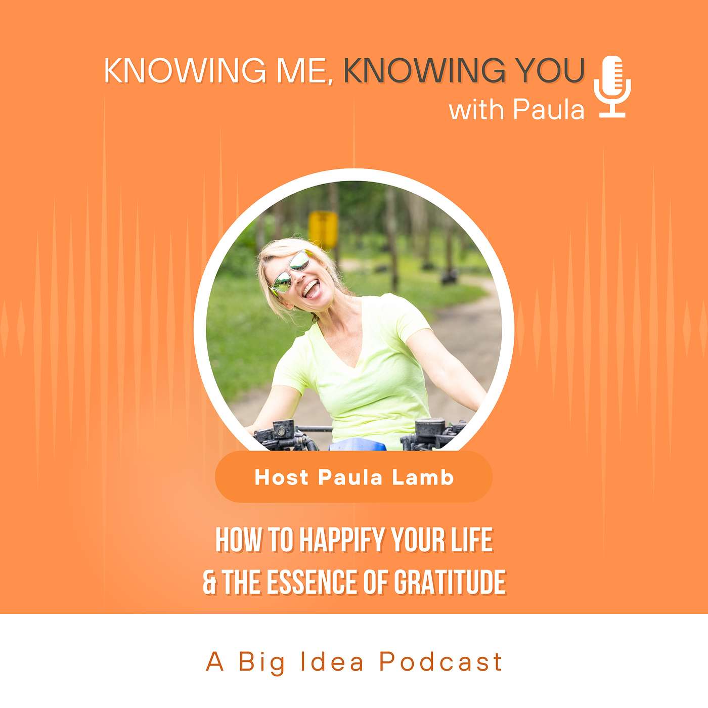 12.  How to Happyfy Your Life & The Essence of Gratitude w/Paula Lamb [host]