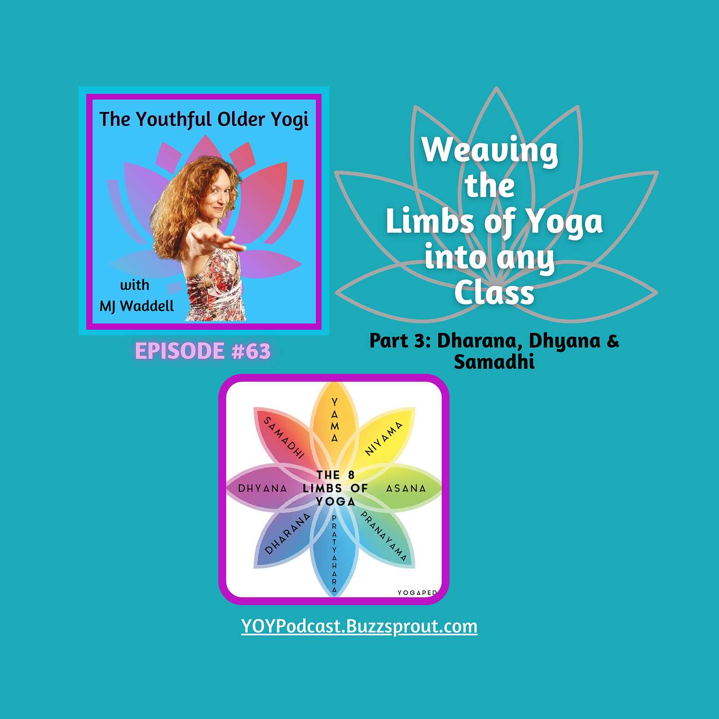 Weaving the Limbs of Yoga into any Class (Part 3) Dharana, Dyhana, Samadhi