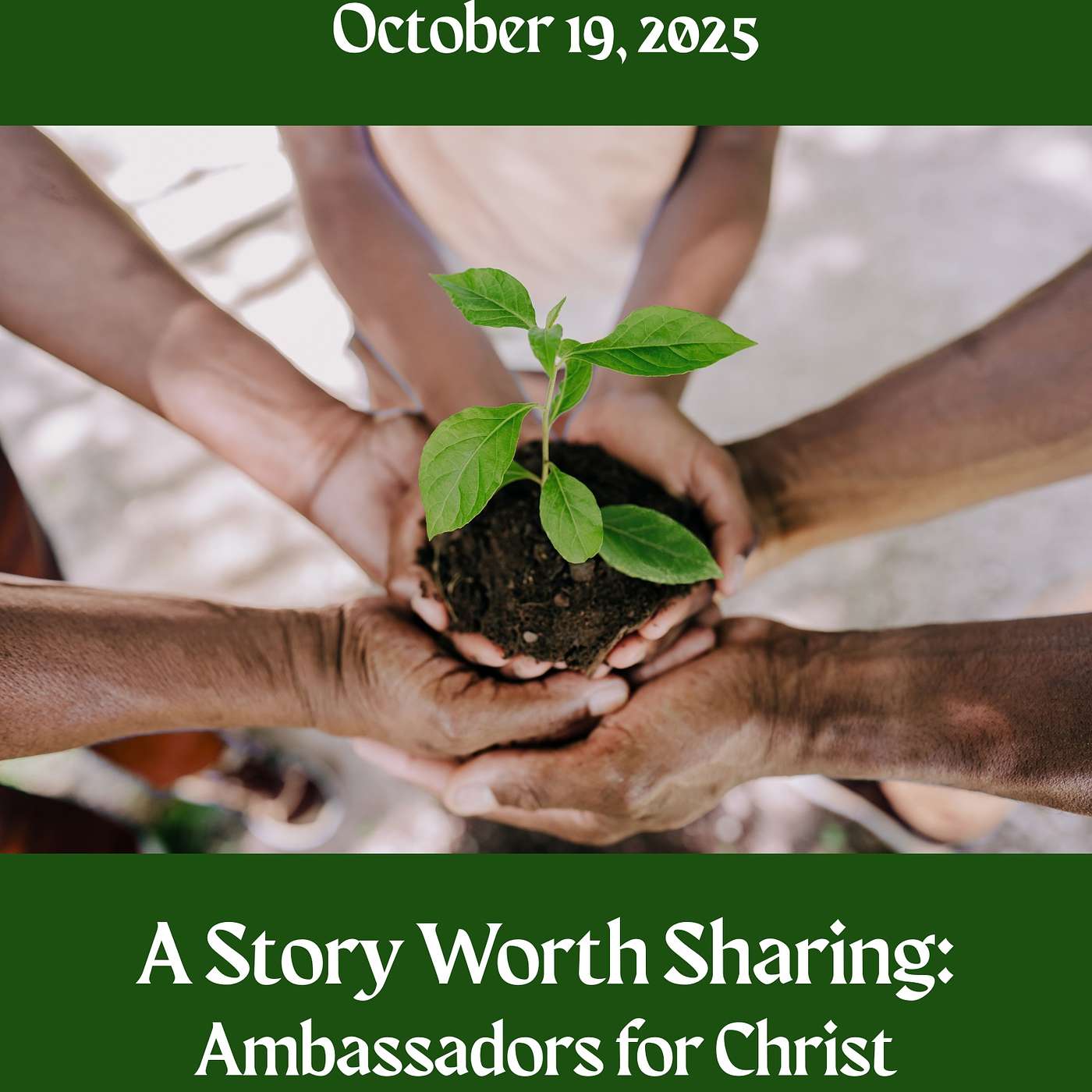 Seeds That Bless the World