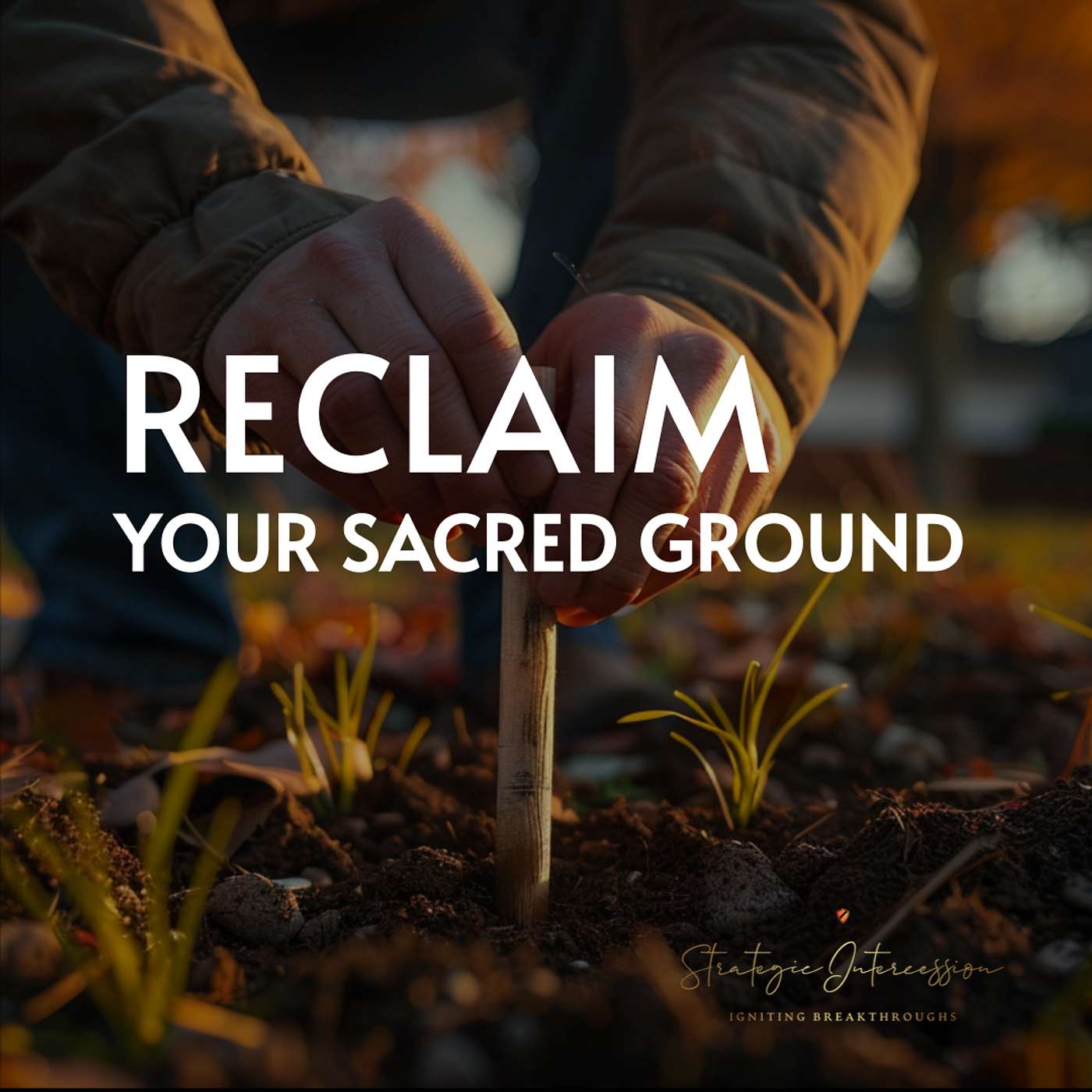 Strategic Intercession