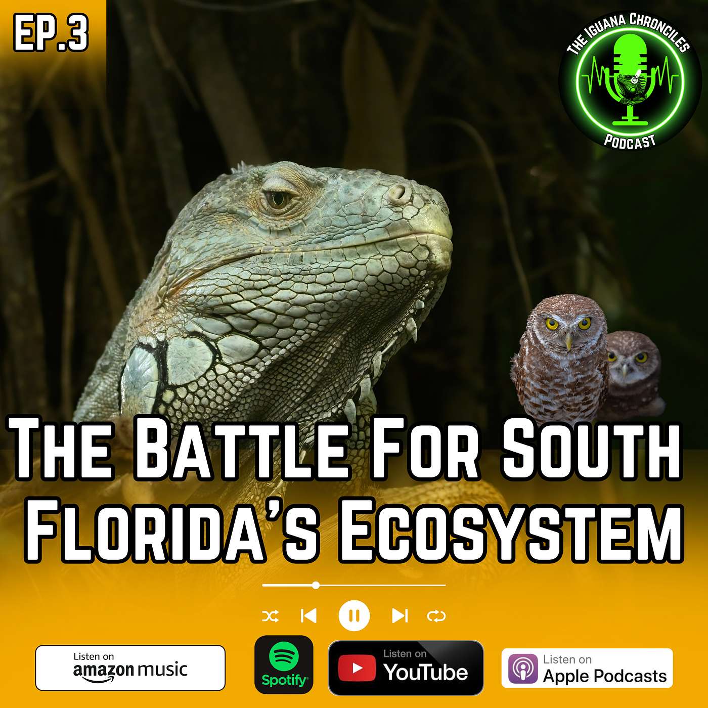 The Iguana Chronicles Podcast
