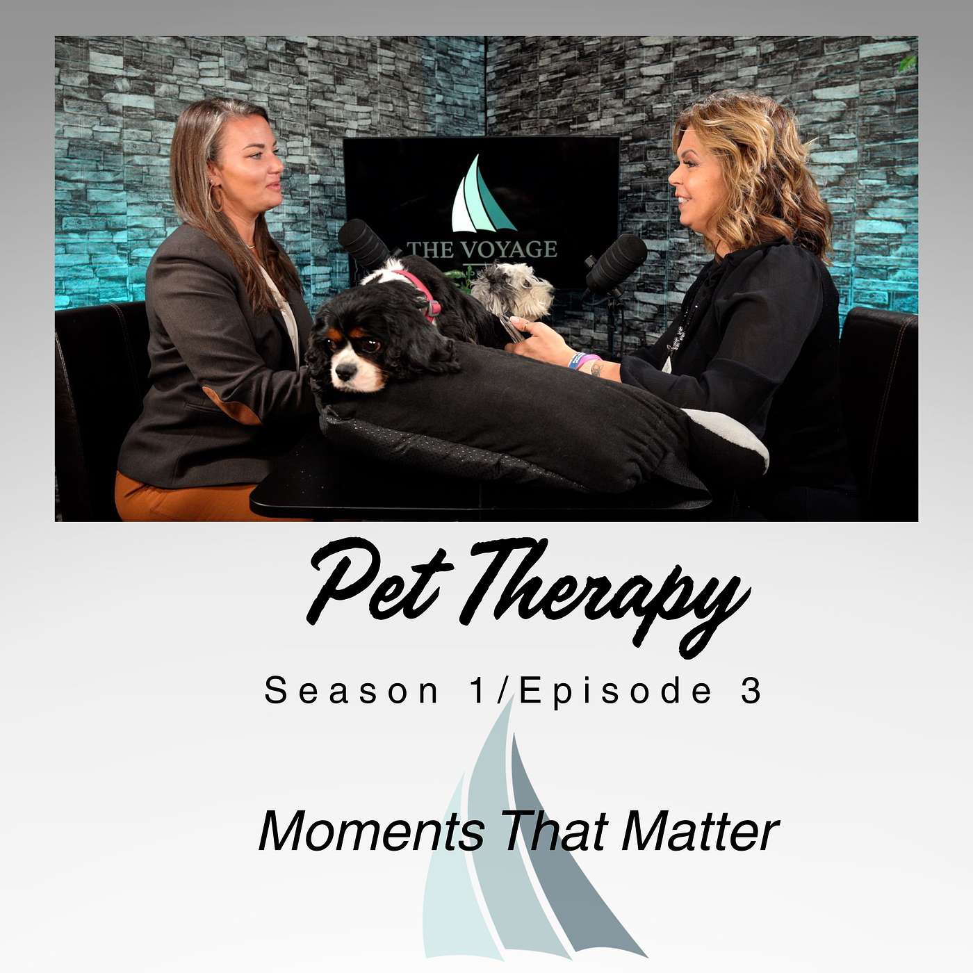 Pet Therapy-Moments That Matter from the Voyage Senior Living episode artwork