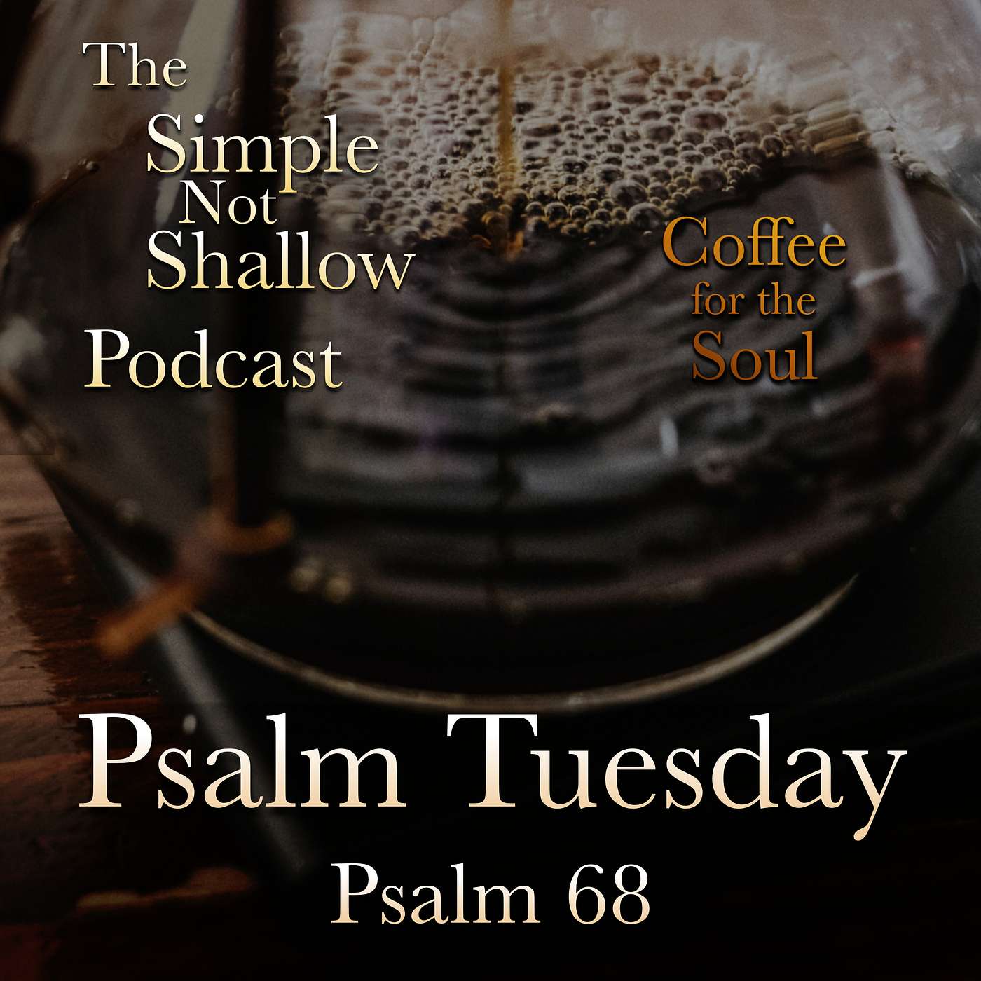 The Simple Not Shallow Podcast
