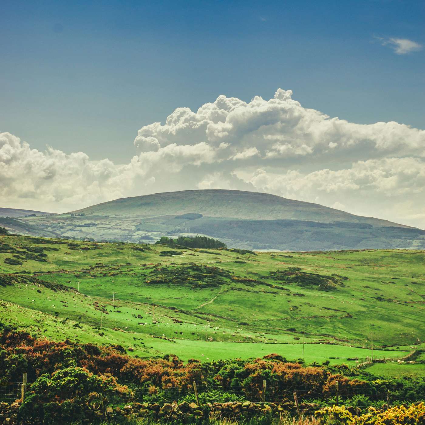 Irish Courage and the Path to Well-Being Irish Courage and the Path to Well-Being