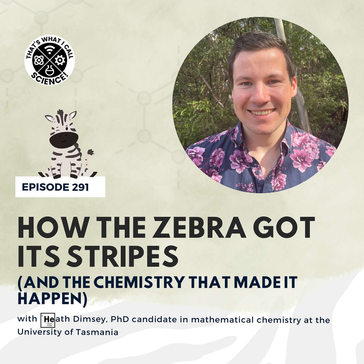 How the Zebra Got its Stripes (and the Chemistry that made it happen)