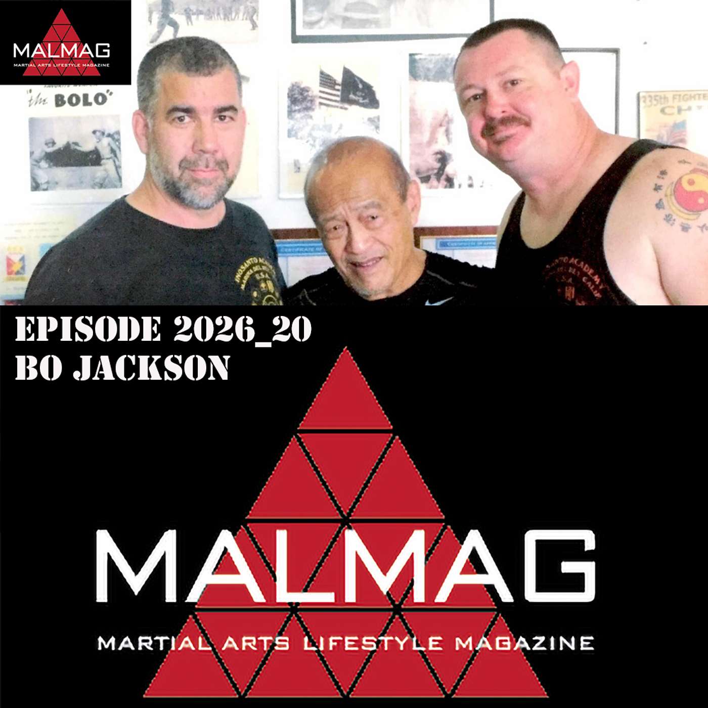 The Martial Arts Lifestyle Podcast