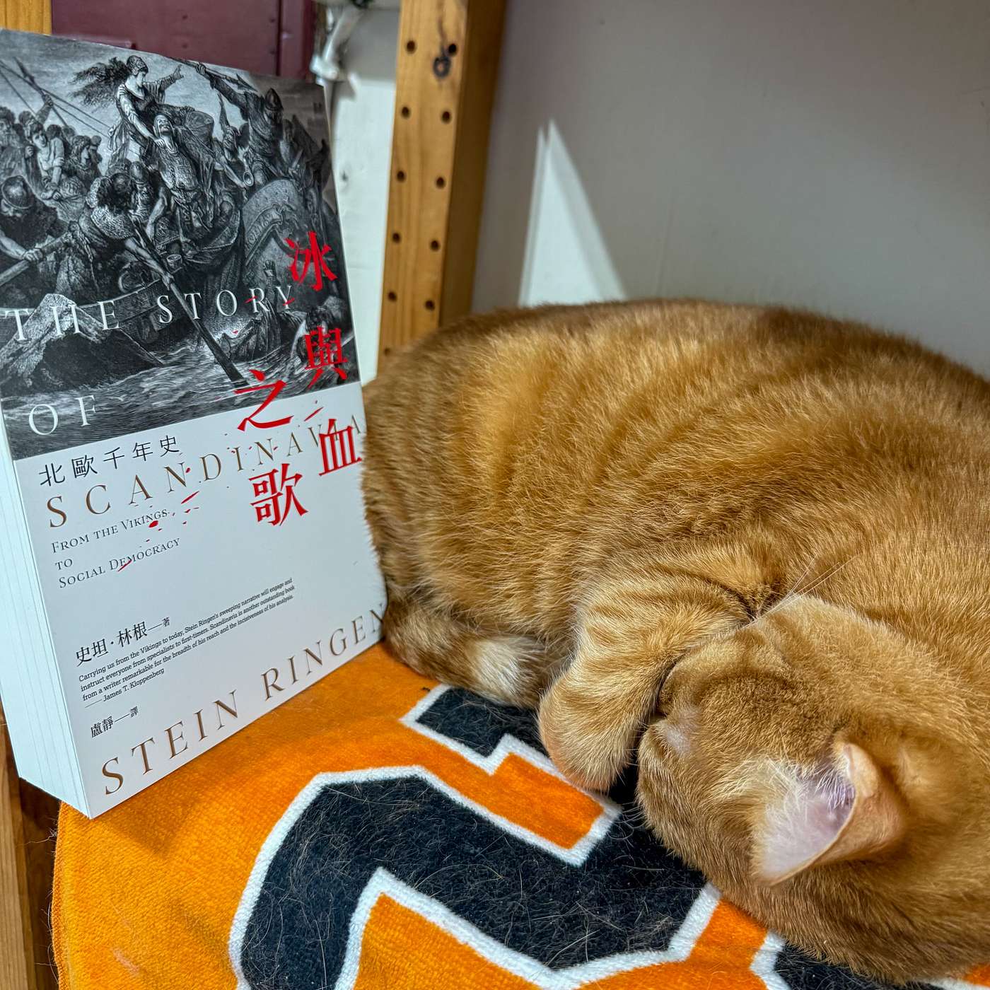 【書中自有黃金鮑EP106】維京福利國家？穿越千年的北歐民主啟示《冰與血之歌：北歐千年史》