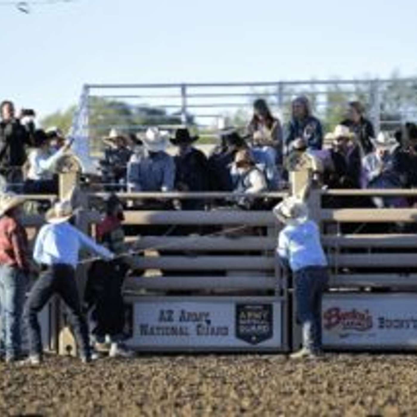 Behind the Chutes Seating: The Closest You'll Get Without Climbing On!