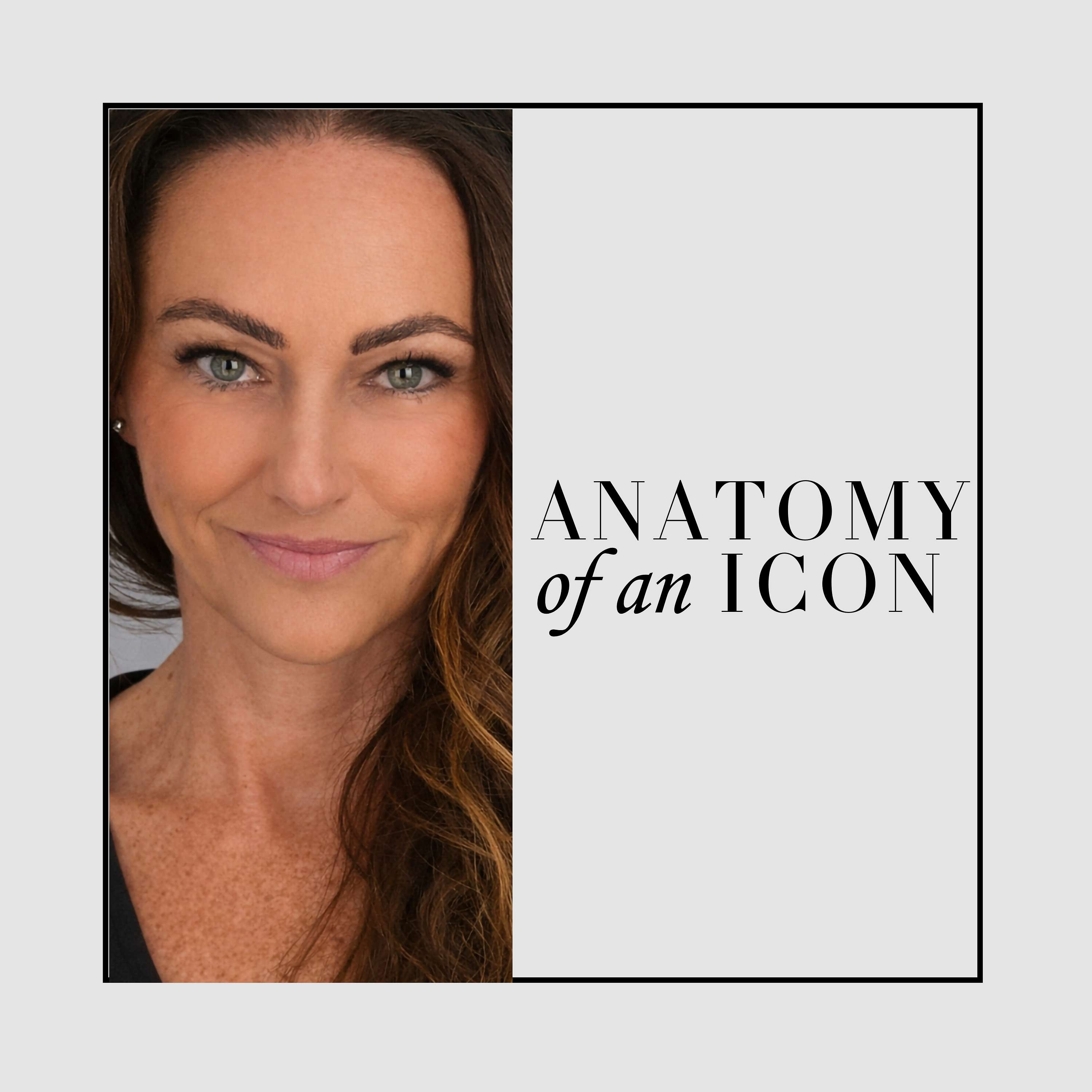 Anatomy Of An Icon cover art