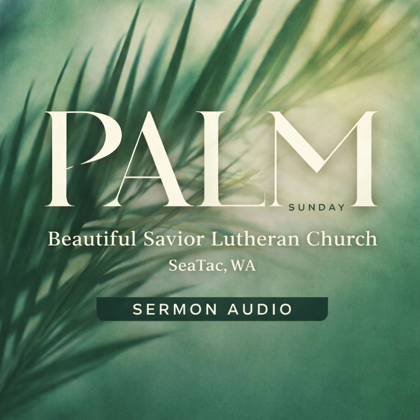 “The King Who Comes in Humility” – Sermon Audio Palm Sunday episode artwork