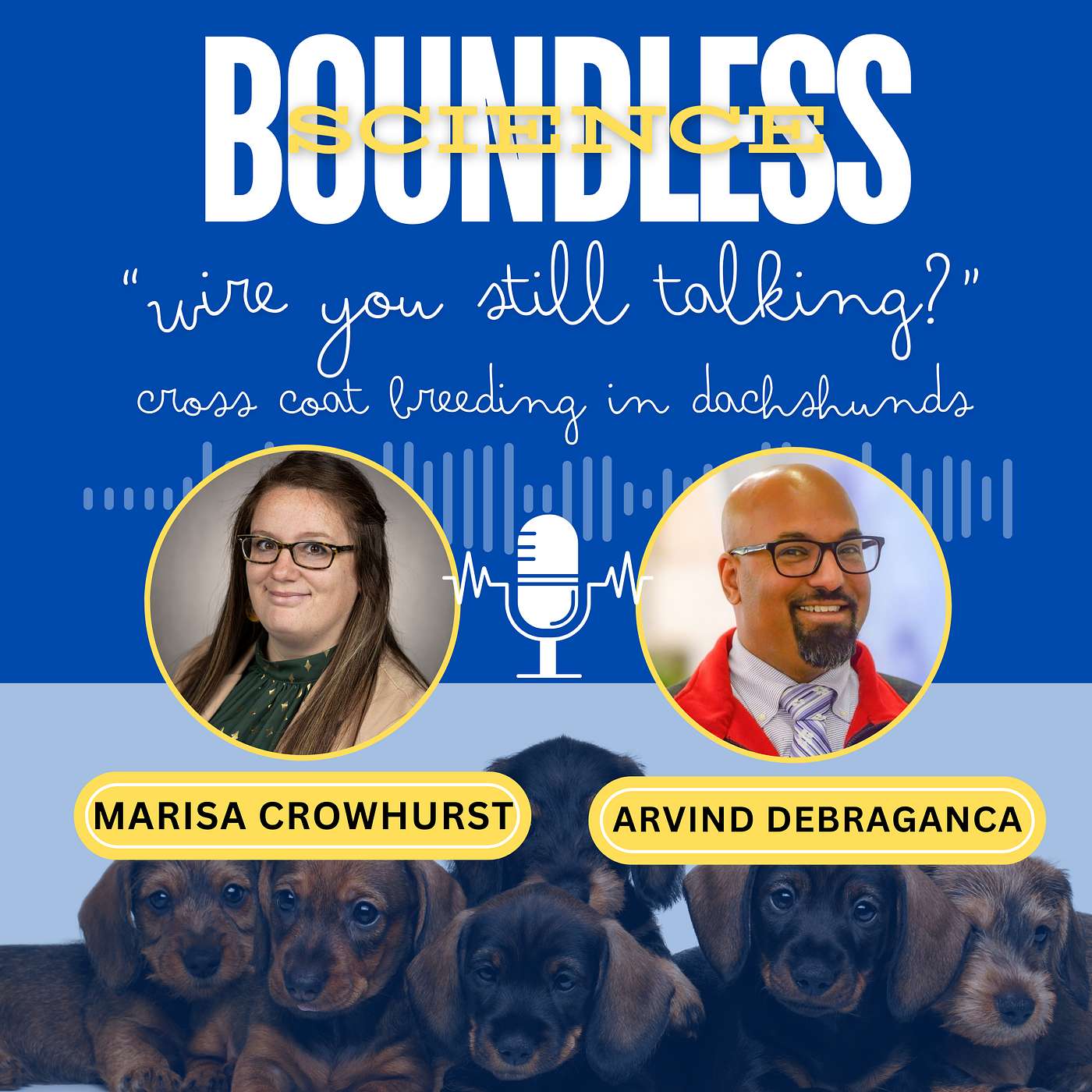 Boundless Science Season 2: "Wire You Still Talking?" Cross Coat Breeding in Dachshunds