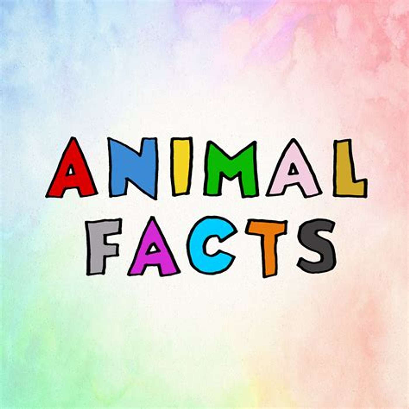 Fun animal facts episode artwork