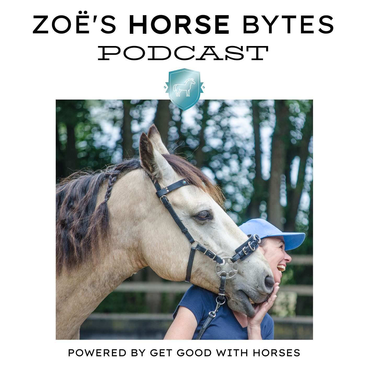 5. Does my horse like me? episode artwork