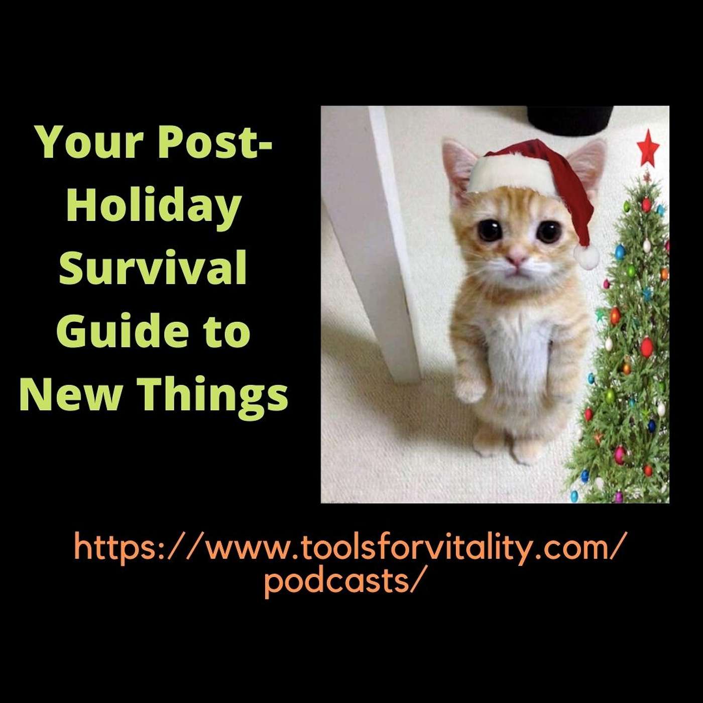 Your Post-Holiday Survival Guide to New Things