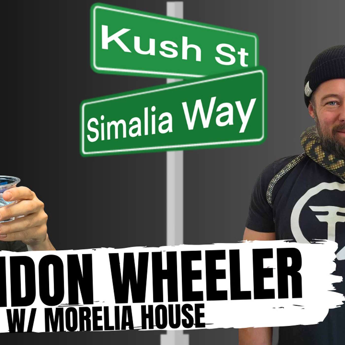 Can Scrub pythons get too big to breed healthy clutches? | Kush's Korner Ep.4 Live