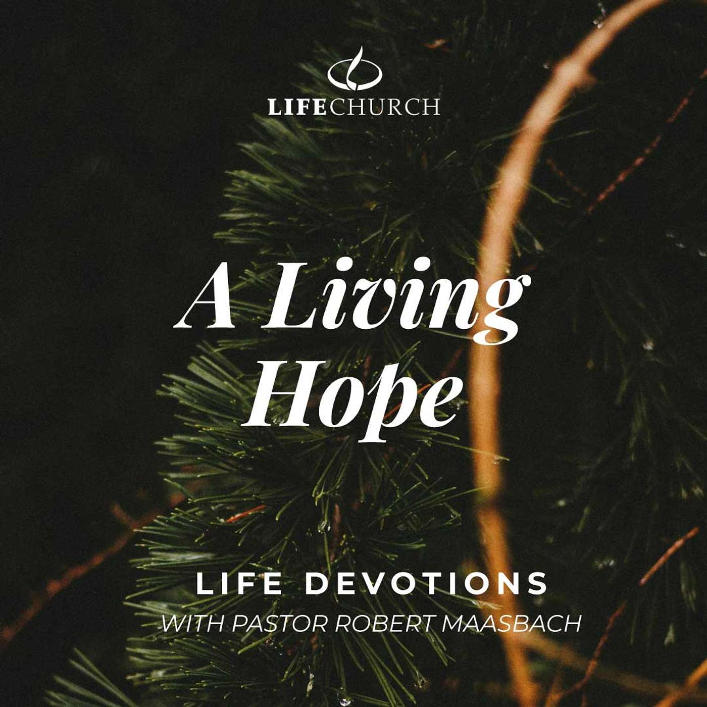 A Living Hope - 26.12.24