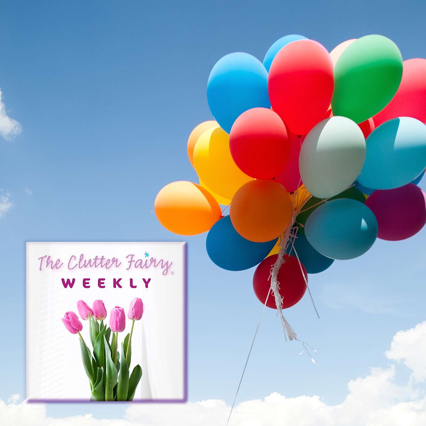The Clutter Fairy Weekly #44 - Holding On and Letting Go: Ownership, Gift-Giving, and Value