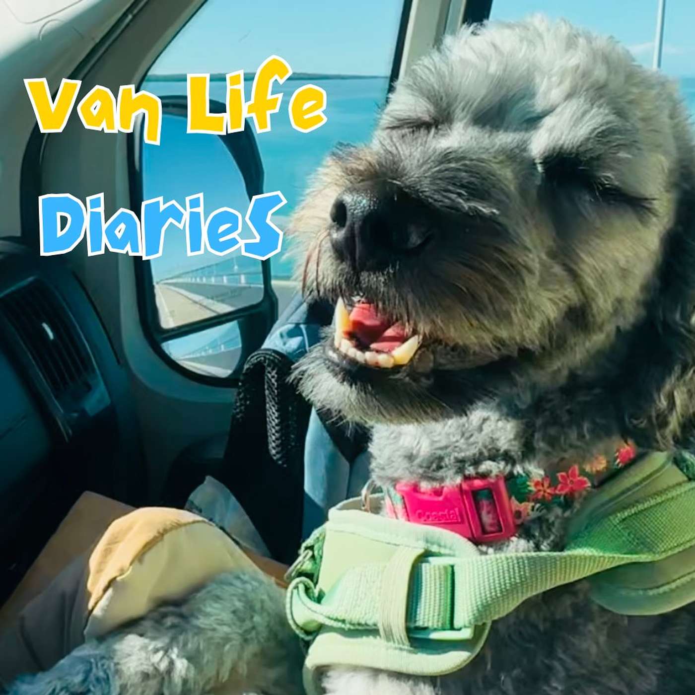 Van Life Diaries -  3 Essential Comedy Podcasts