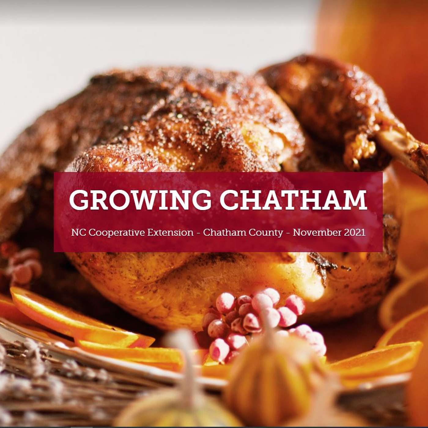 Growing Chatham November 2021 episode artwork