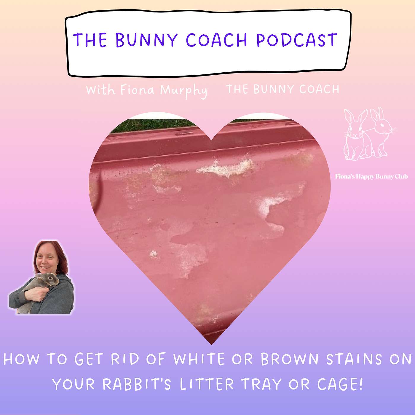 The Bunny Coach Podcast with Fiona Murphy