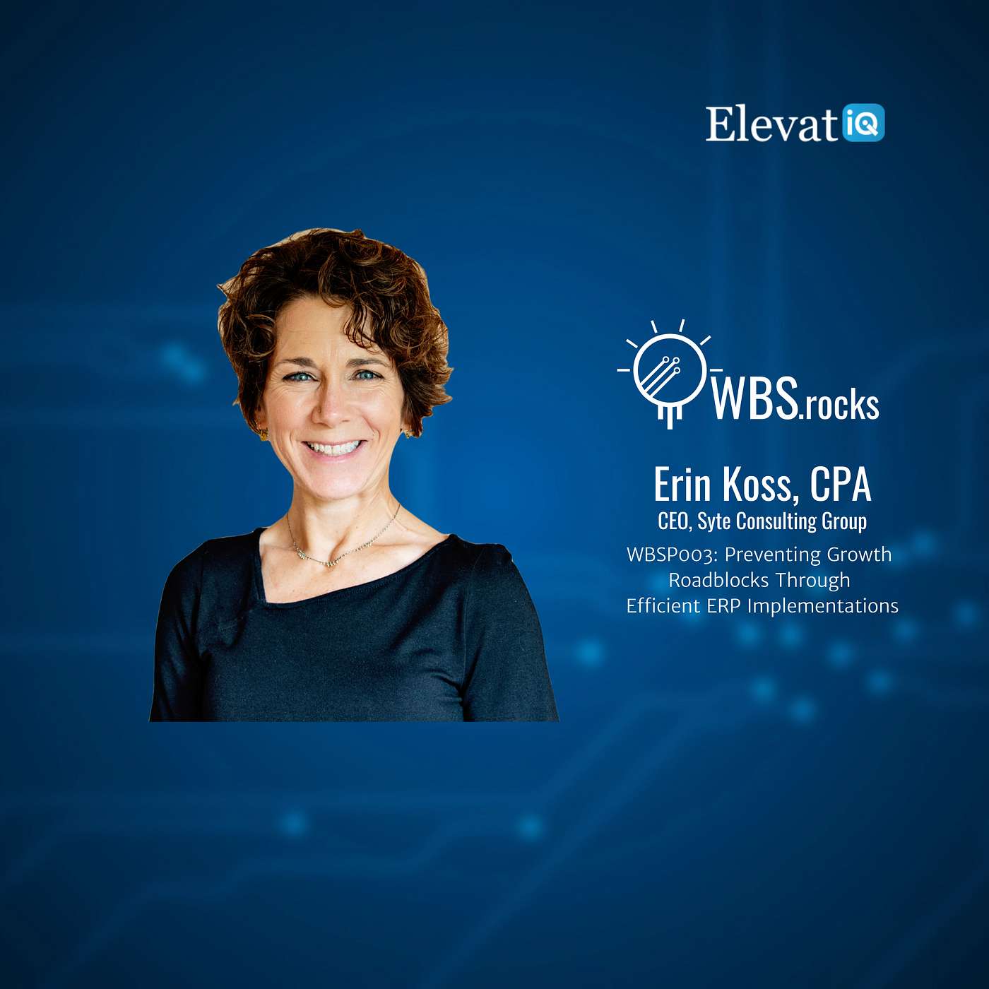 WBSP003: Preventing Growth Roadblocks Through Efficient ERP Implementations w/ Erin Koss