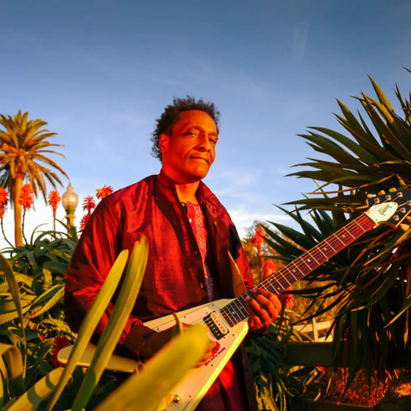 Al Anderson (Bob Marley & The Wailers)