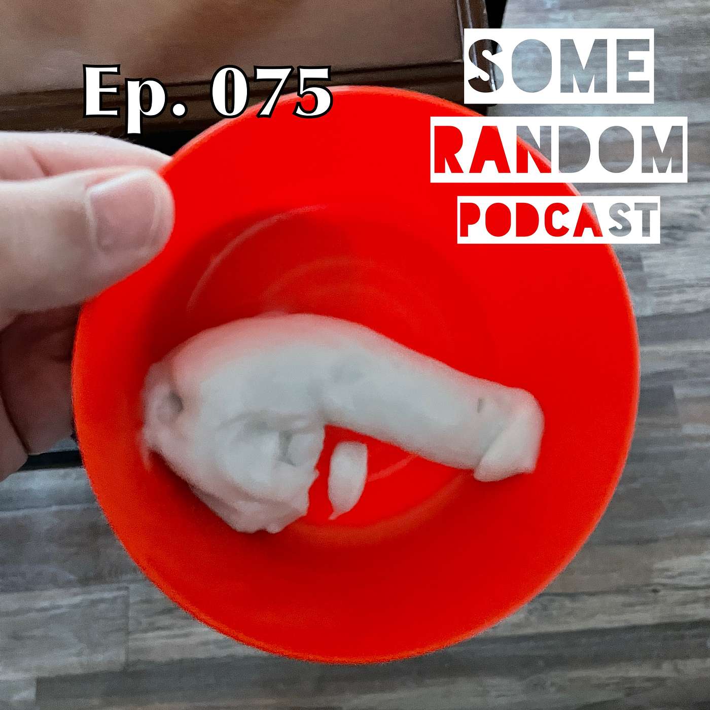 Some Random Podcast