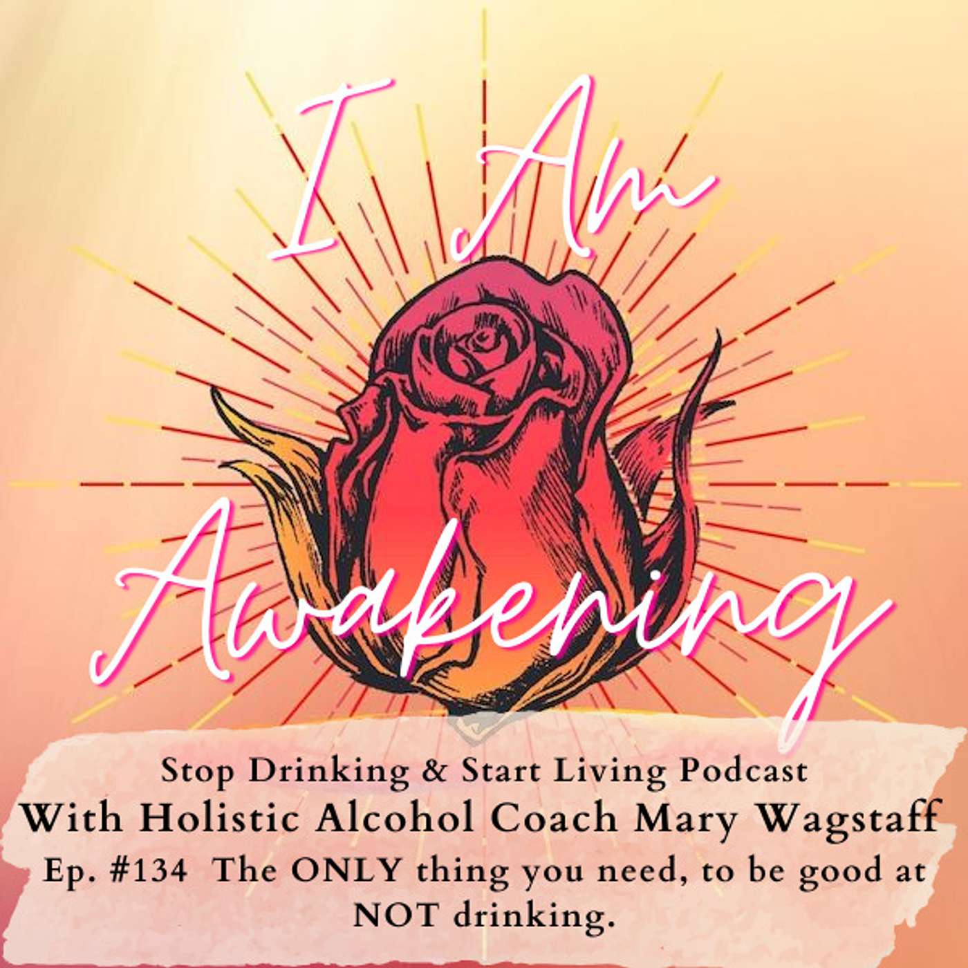 Ep. #134 The ONLY thing you need, to be good at NOT drinking.