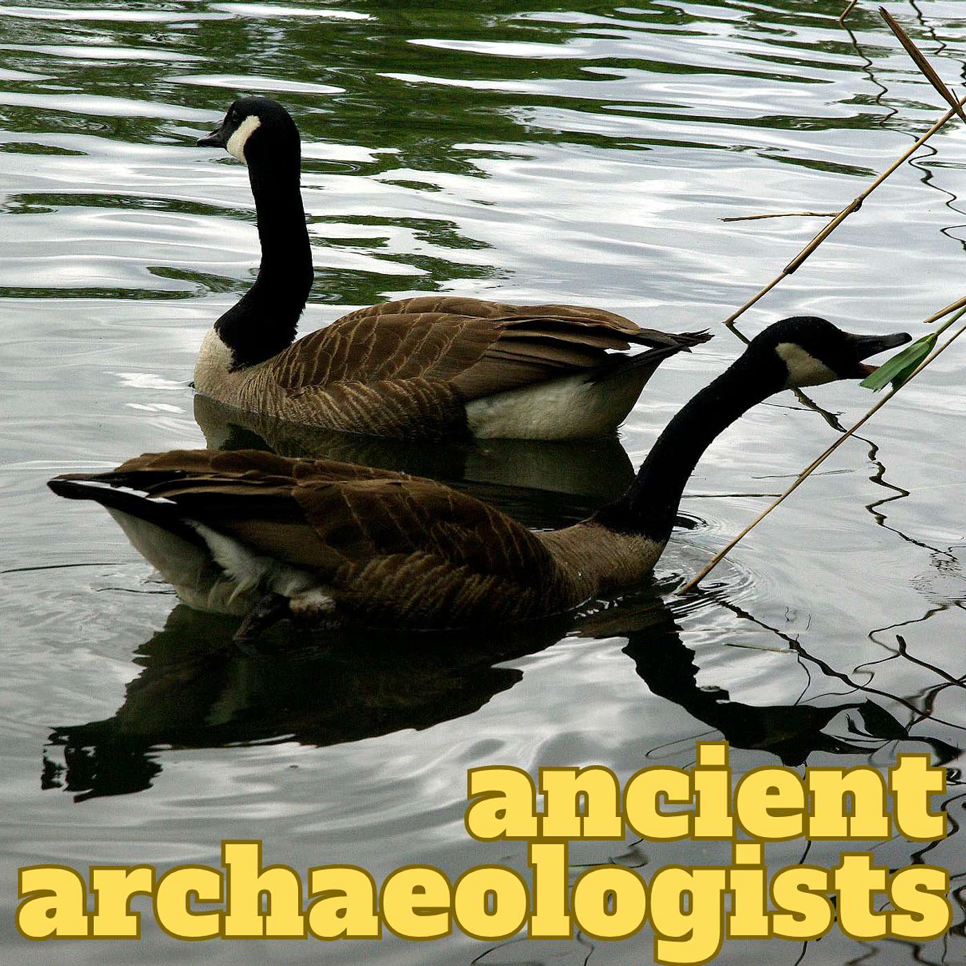 Ancient Archaeologists
