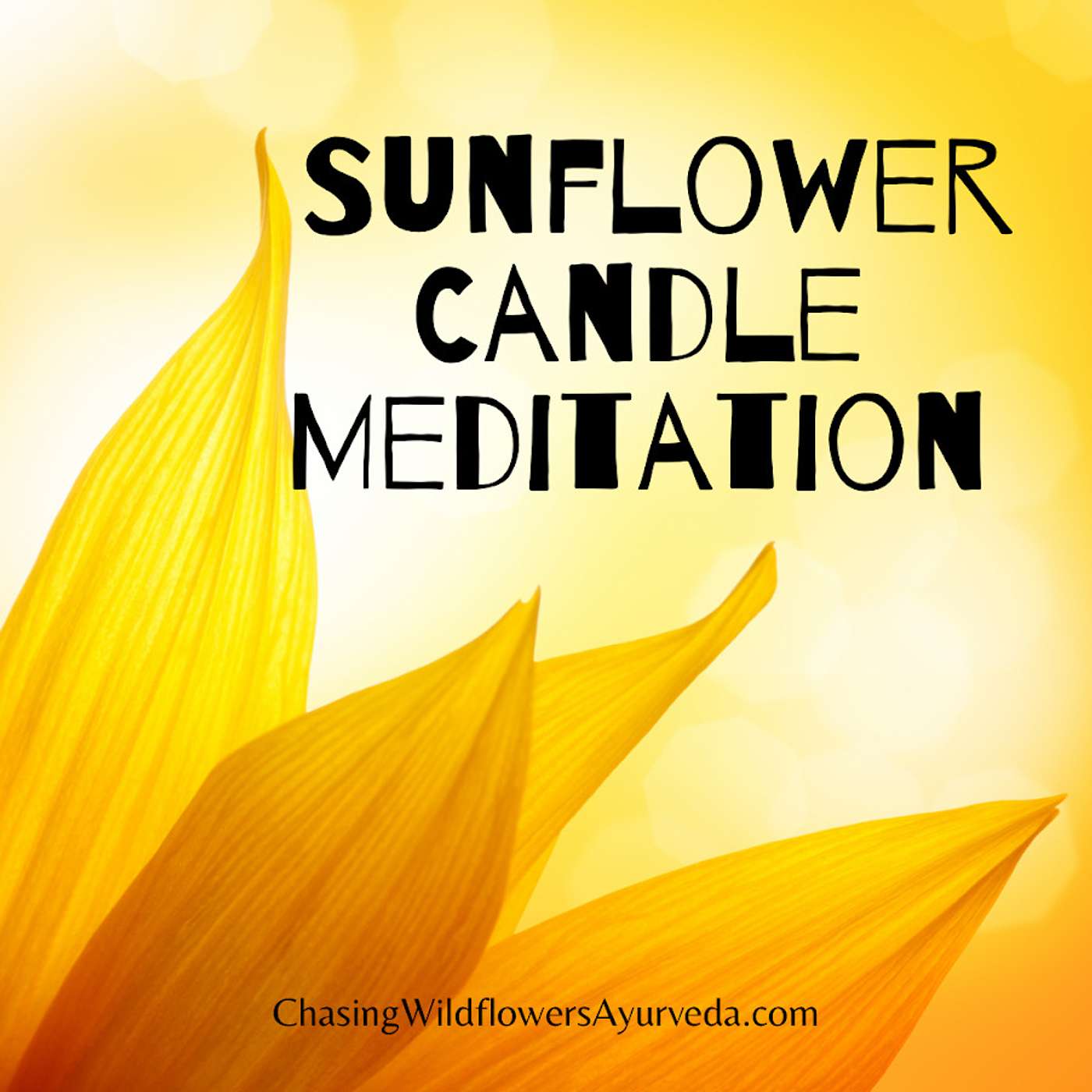Sunflower Candle Meditation Episode 22