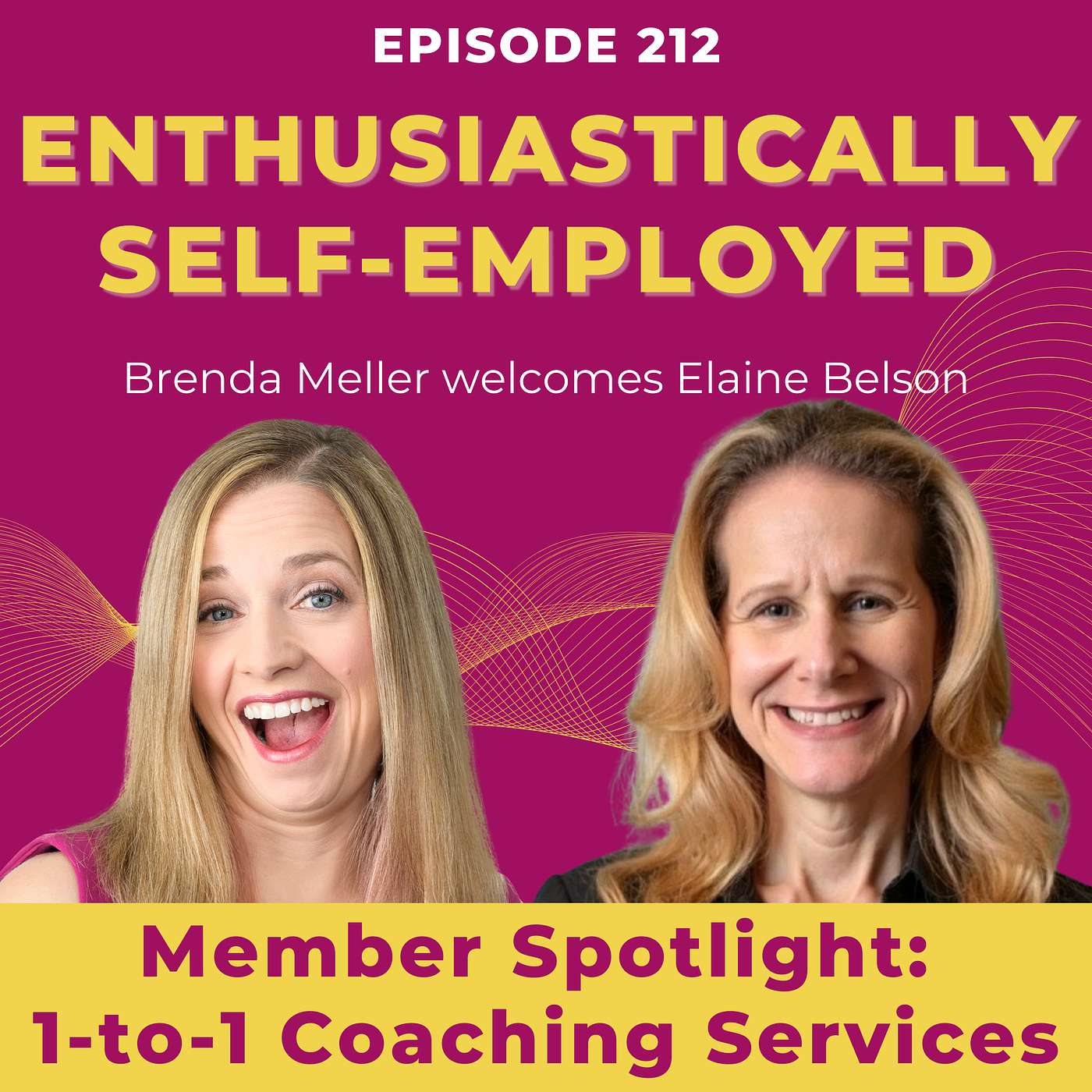 Member Spotlight: 1-to-1 Coaching with Elaine Belson - Ep 212 episode artwork