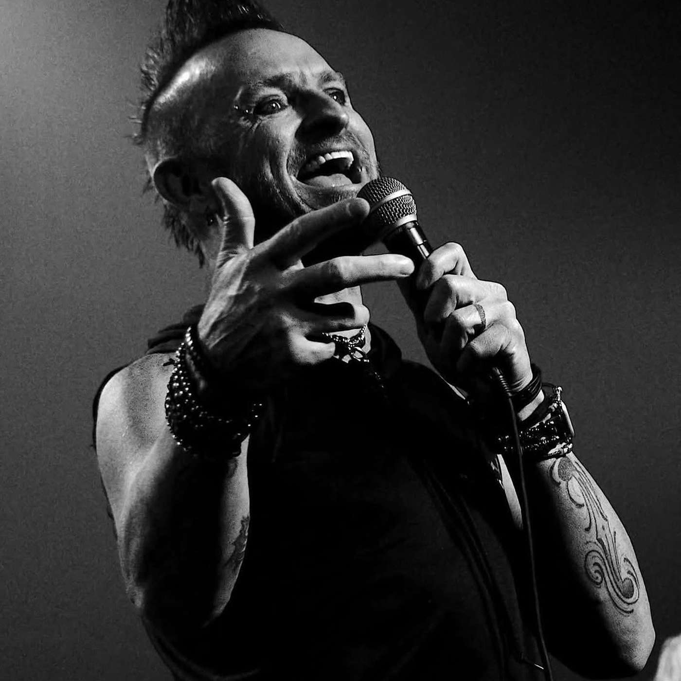 The Nonsense Chronicles