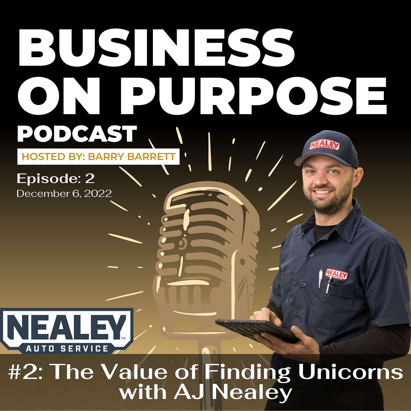 Business On Purpose Podcast
