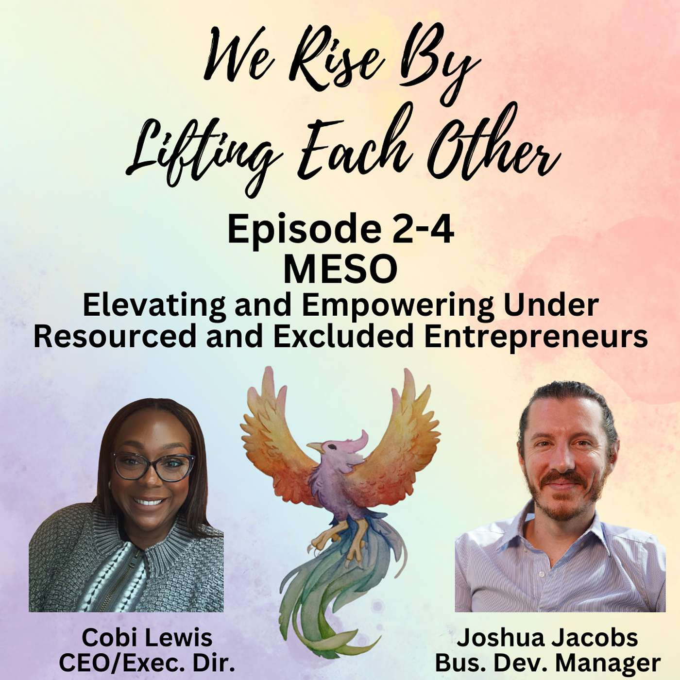 MESO - Elevating and Empowering Under Resourced and Excluded Entrepreneurs