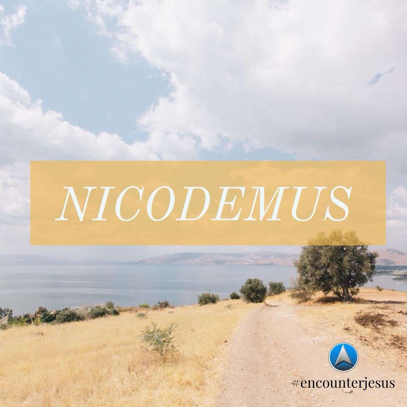Encounter Jesus - Story of Nicodemus Week 1