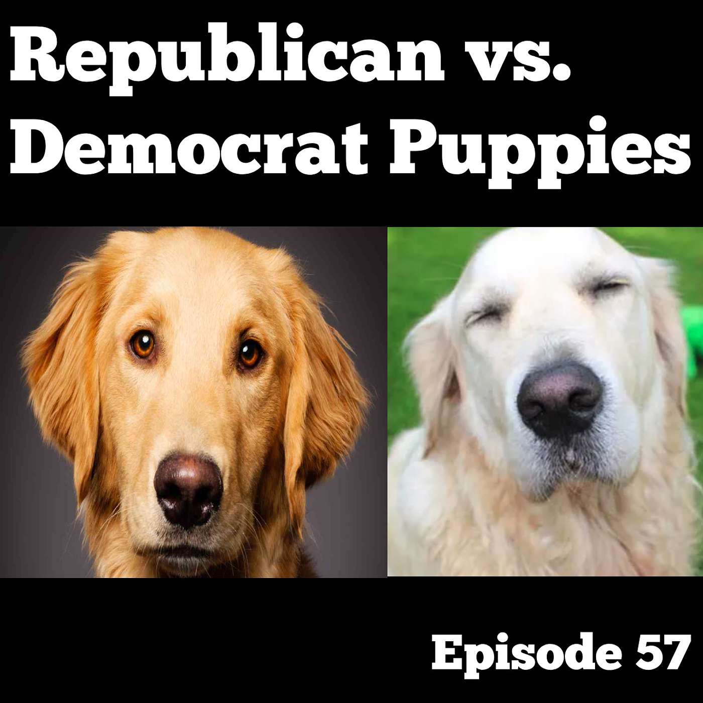 Republican vs Democrat Puppies - Episode 57