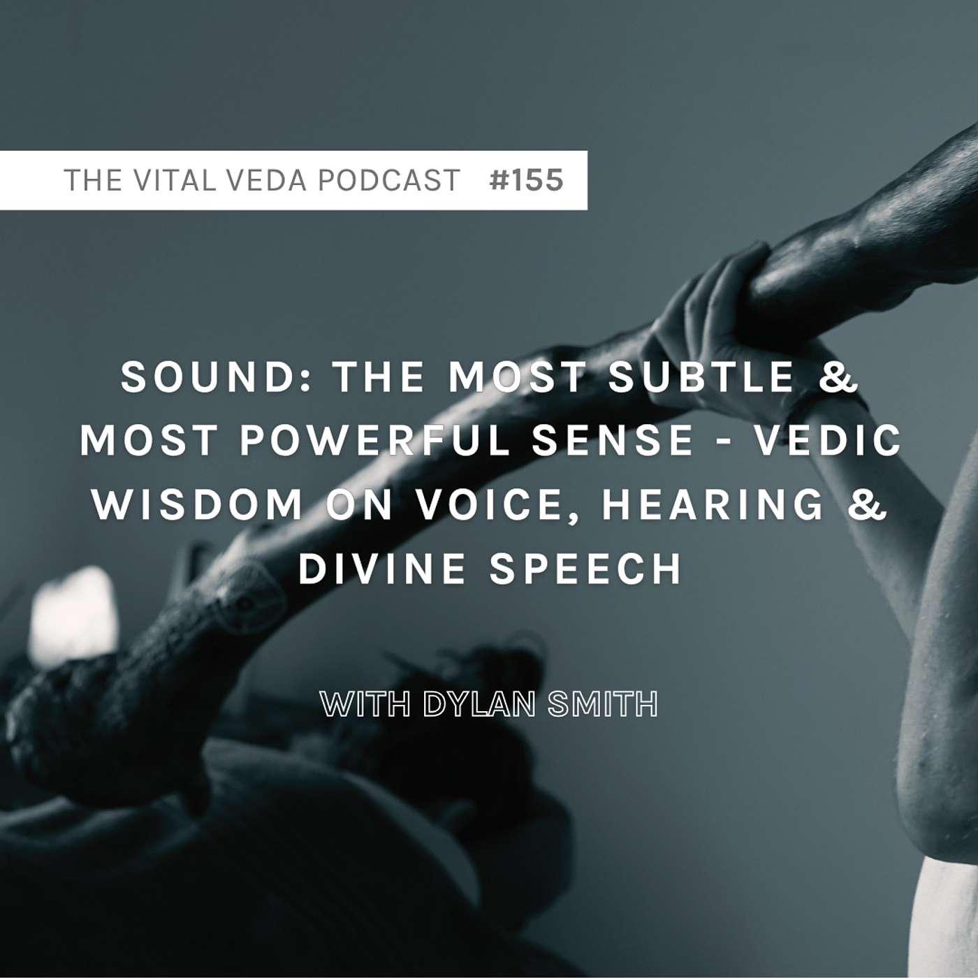 The Vital Veda Podcast: Ayurveda | Vedic Wisdom | Holistic Health & Natural Healing