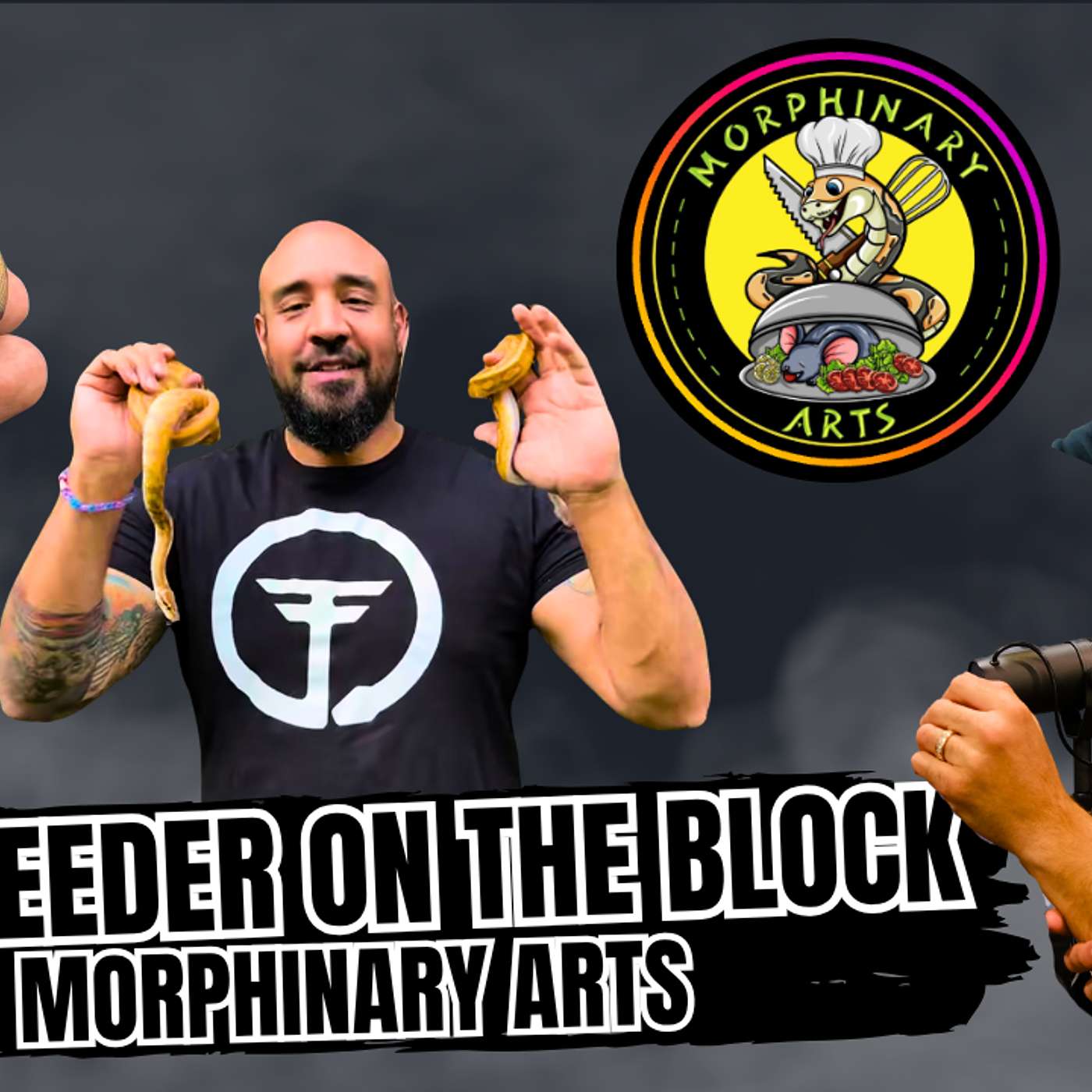 When It's Time To Call It Quits In The Ball Python Game | New Breeder On The Block Live