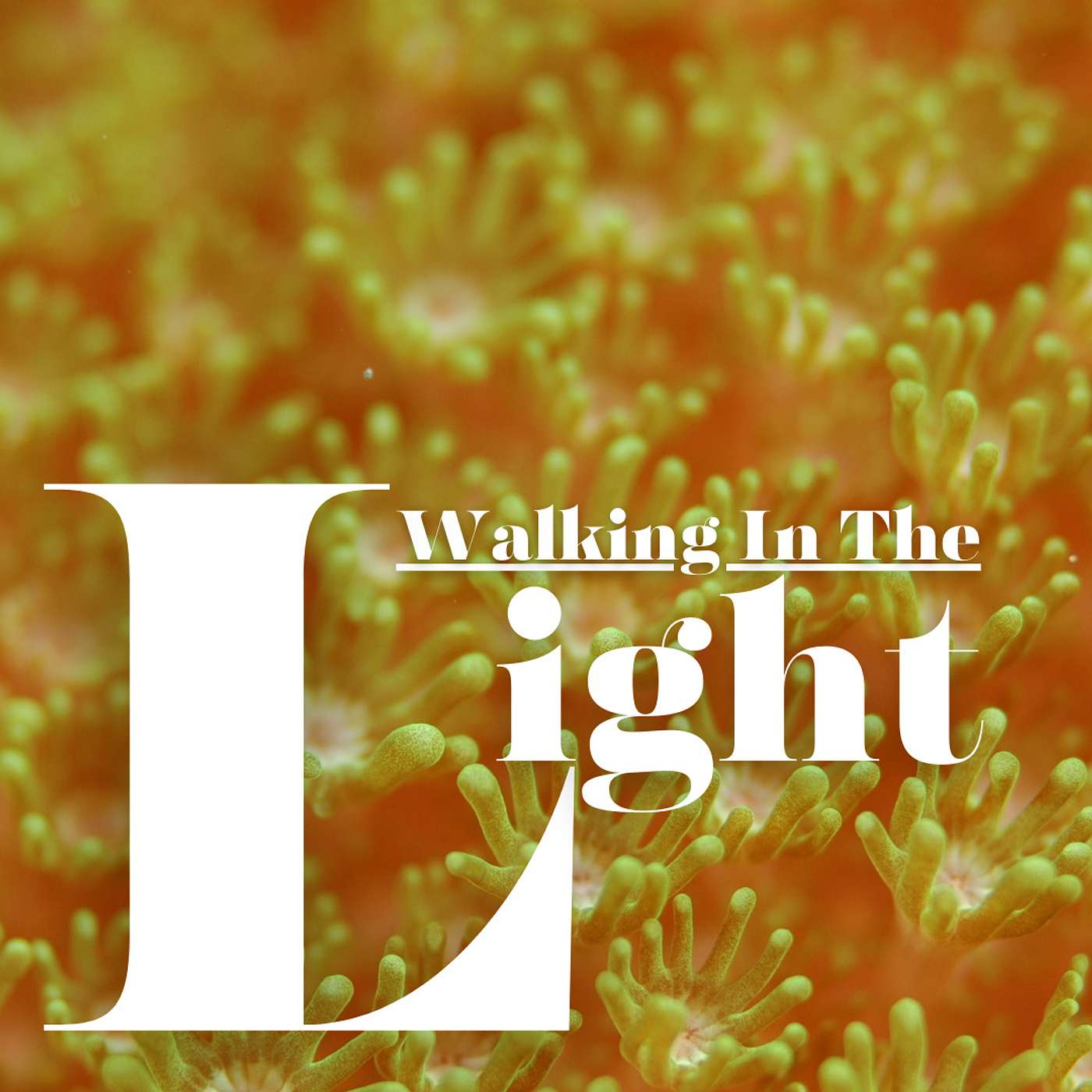 Walking in The Light #4 episode artwork