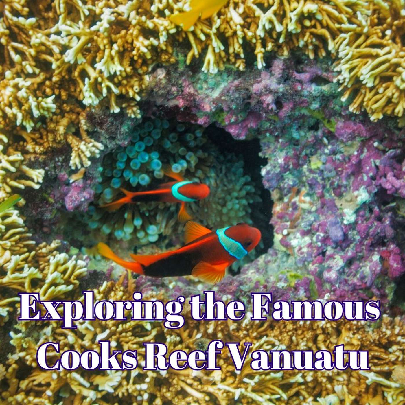 Diving Emae Island and Cooks Reef Vanuatu Podcast # 47