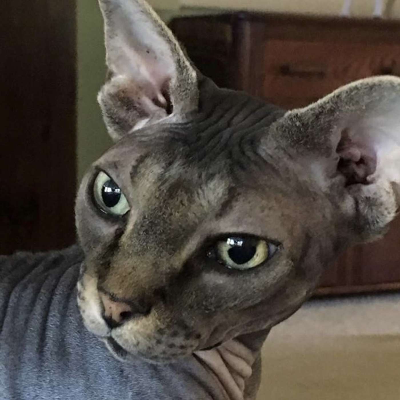 Former Attorney, Talks About Courts Forgetting That The Parent Is Advocating For Their Child And The Taxpayer's Expense