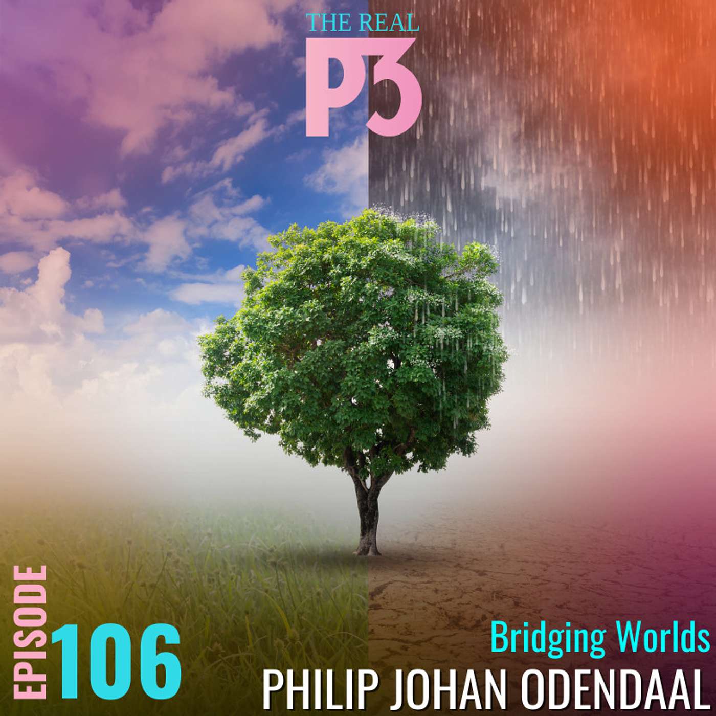 The Real P3