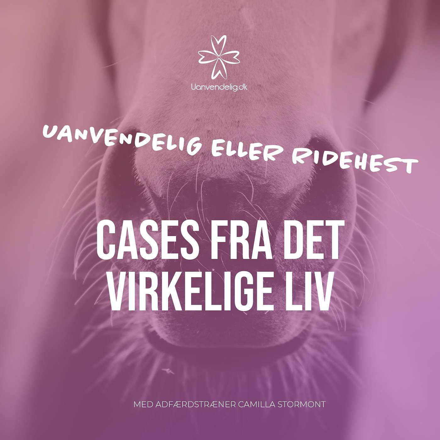 Foredrag med Camilla Stormont: Cases fra det virkelige liv