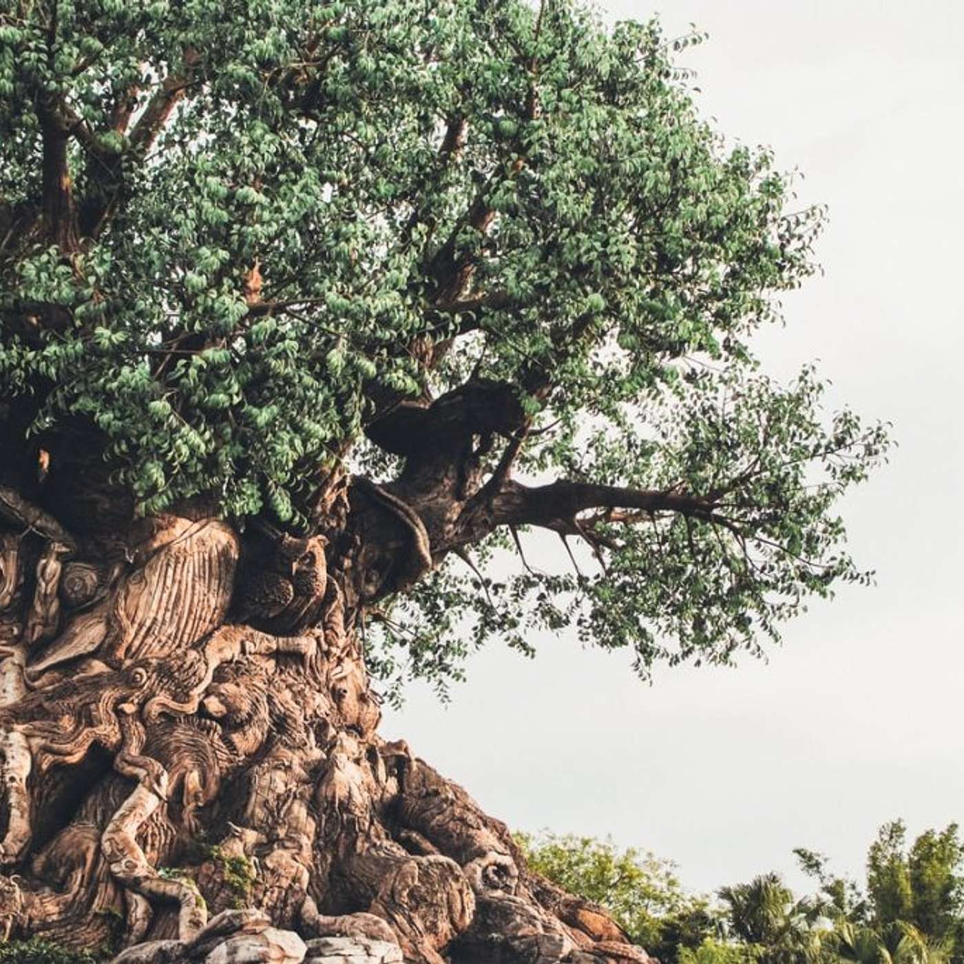 Seattle Unity Sunday Podcast - January 23rd, 2022 -Tree of Life