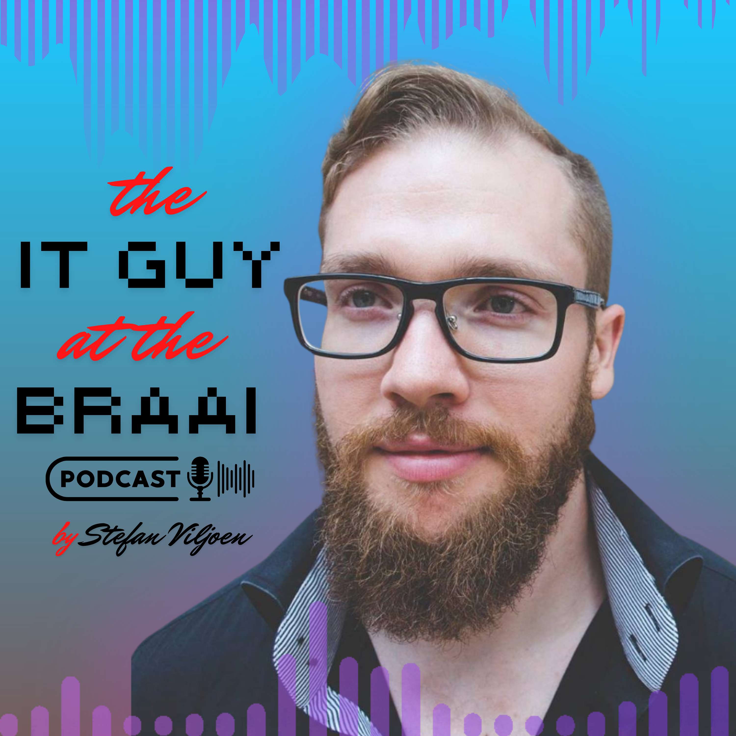 The IT Guy at the Braai cover art