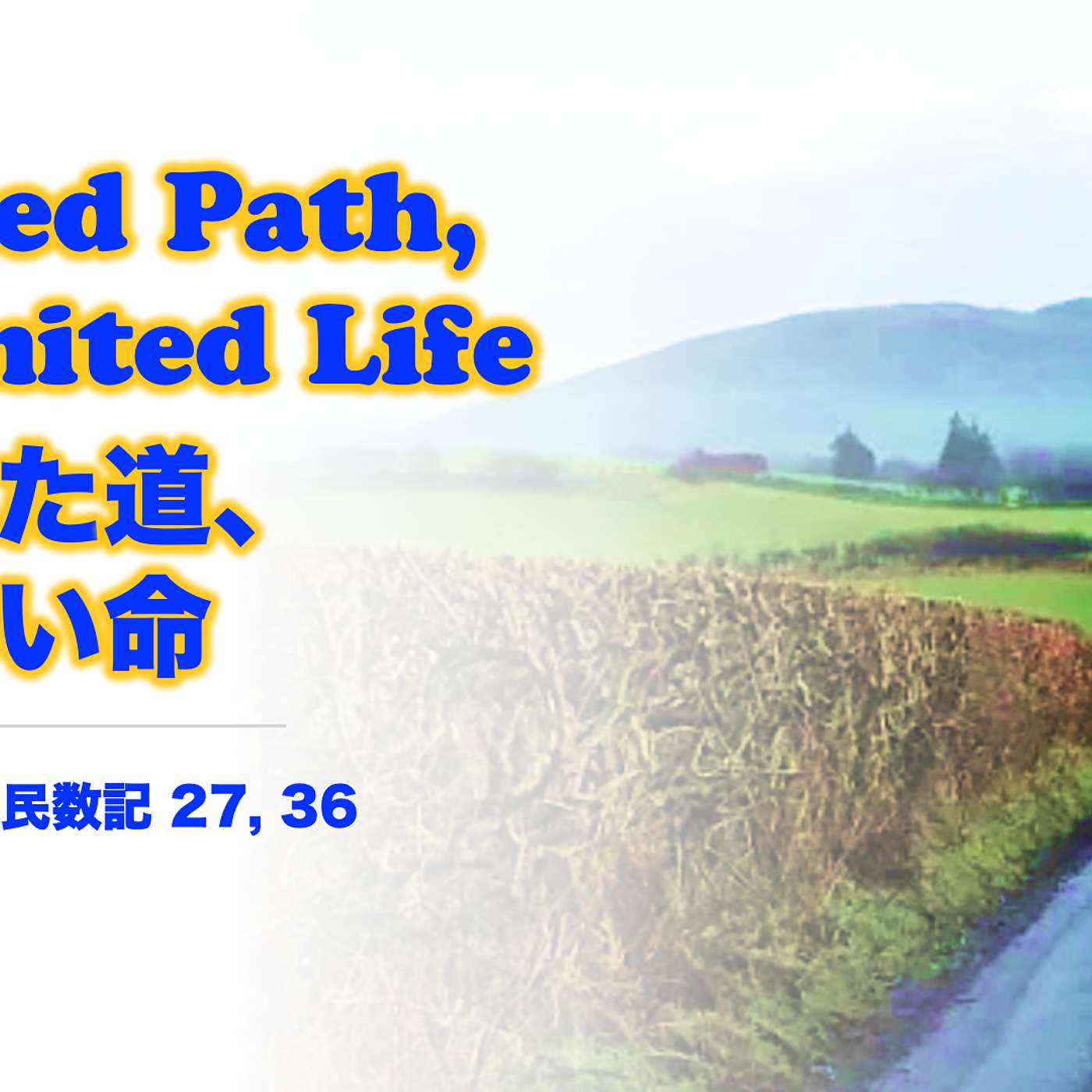 Limited Path, Unlimited Life 限られた道、 限りない命 Limited Path, Unlimited Life 限られた道、 限りない命