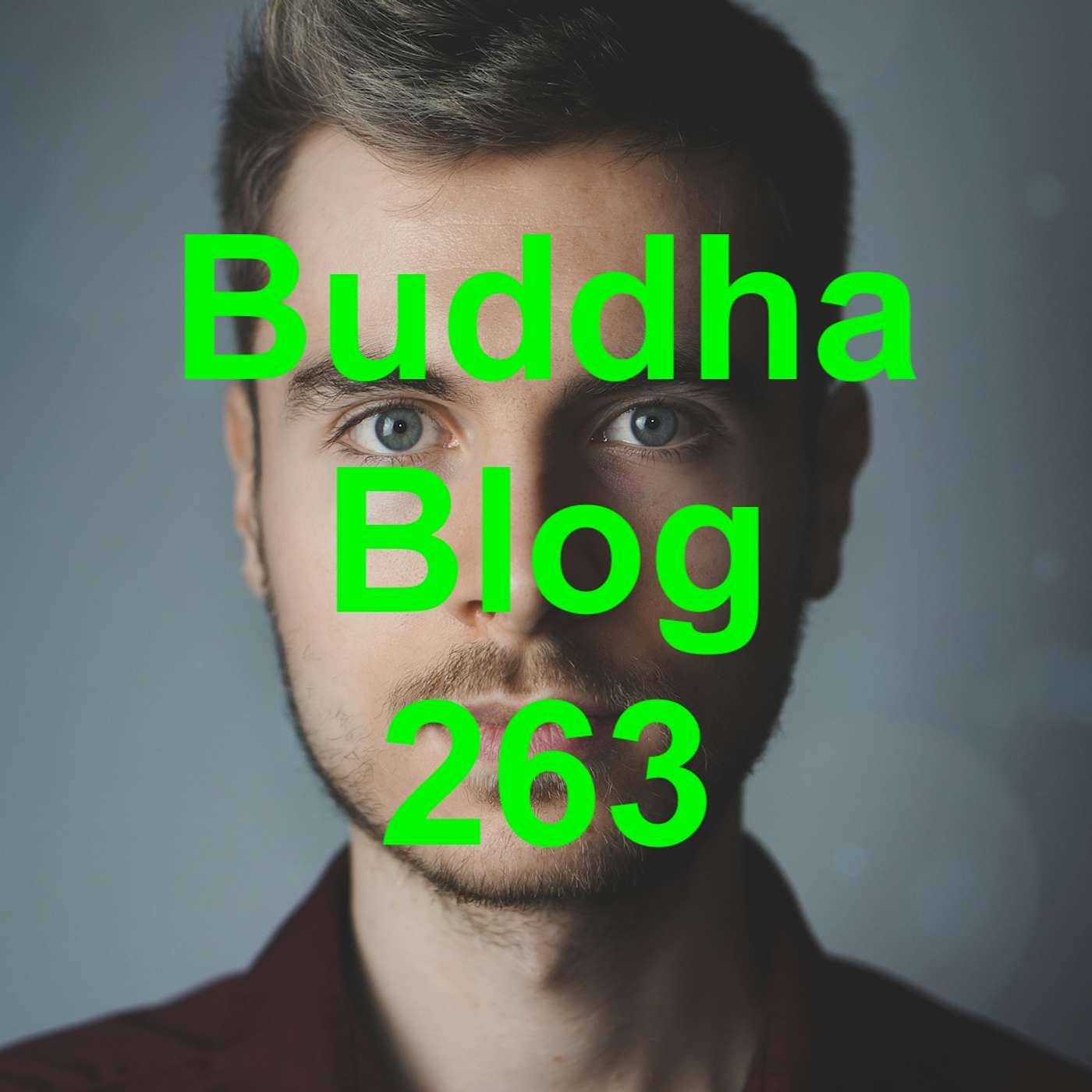 263-Was zählt?-Buddha Blog Podcast - Buddhismus im Alltag