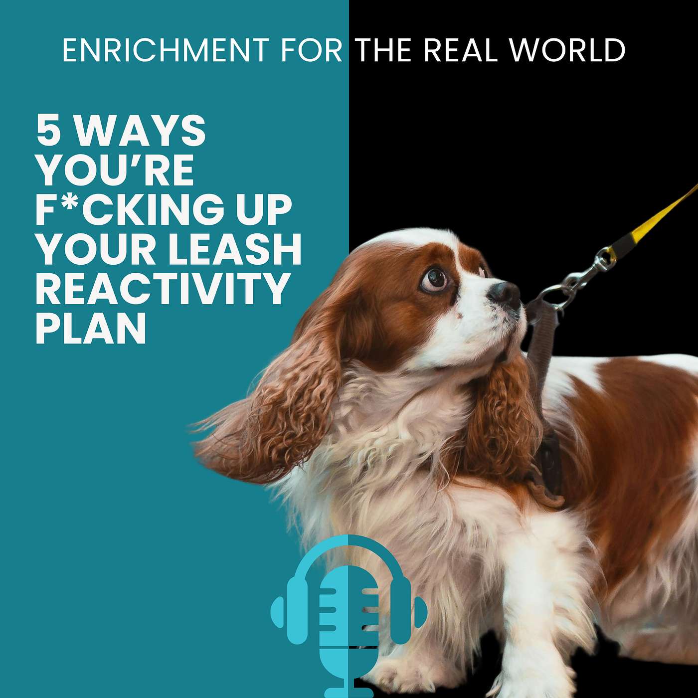 #173 - 5 Ways You’re F*cking Up Your Leash Reactivity Plan episode artwork