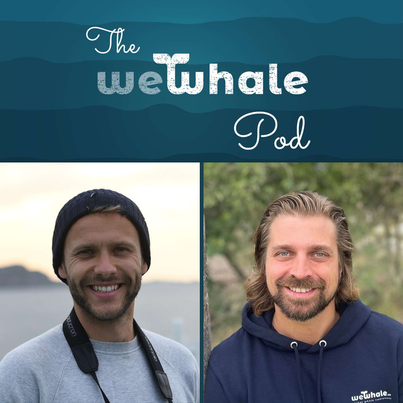 The WeWhale Pod